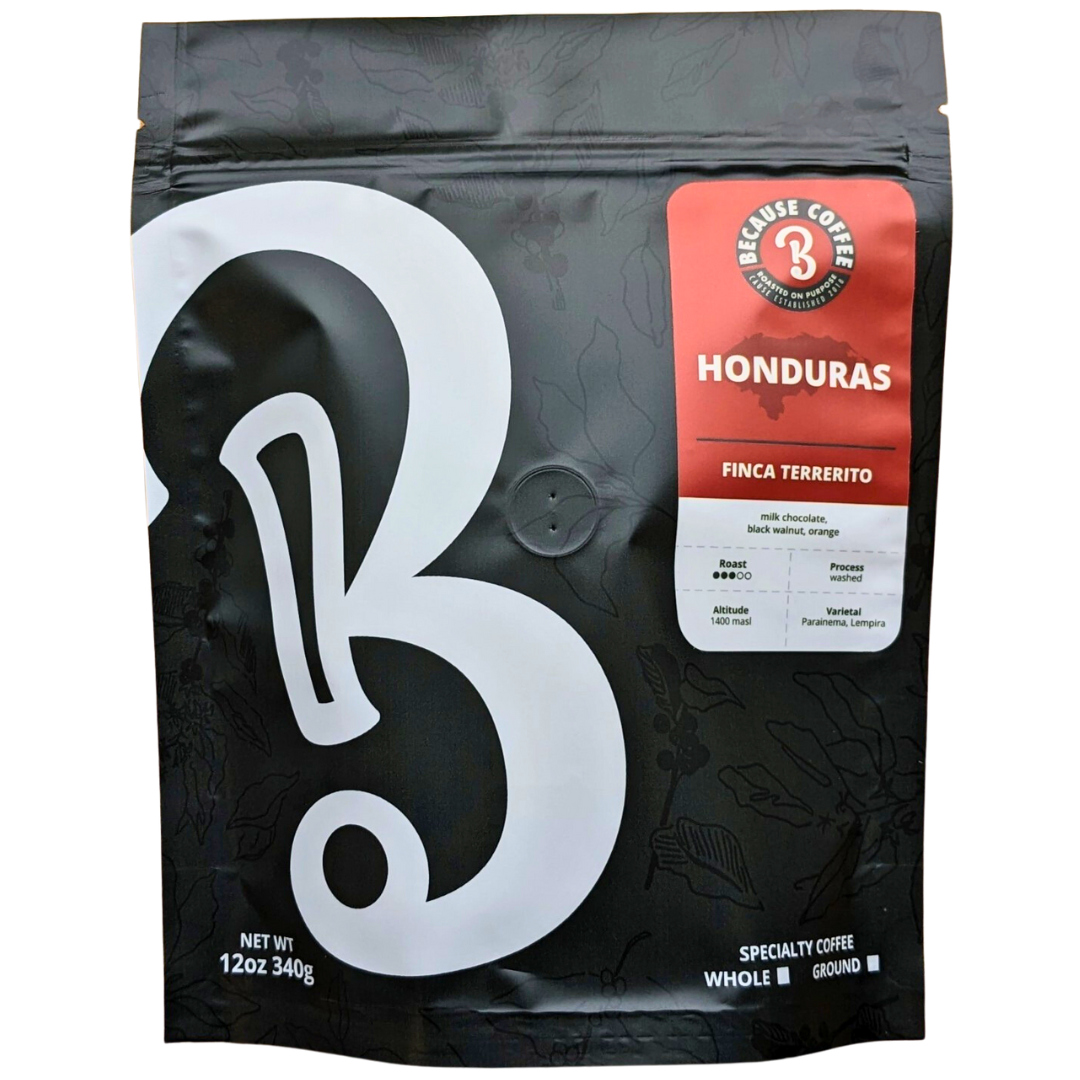 Honduras Finca Terrerito