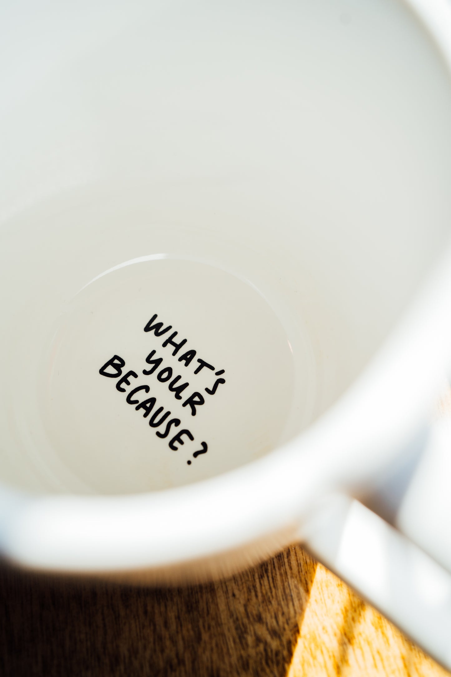 Diner Mug - What's Your Because?