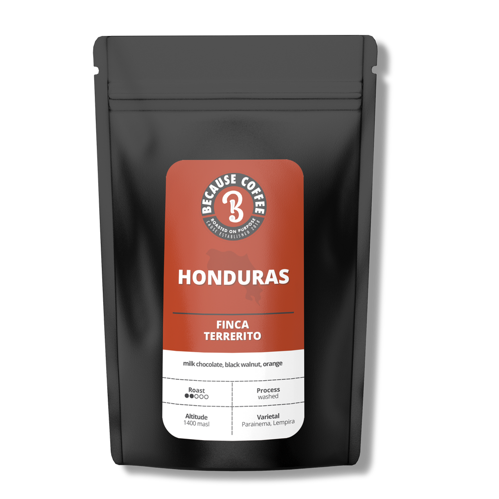 
                      
                        Honduras Finca Terrerito
                      
                    