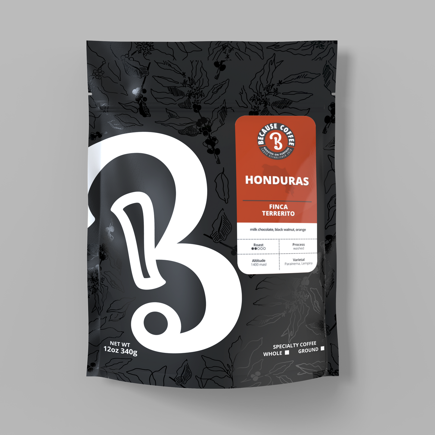 Honduras Finca Terrerito – Because Coffee Store